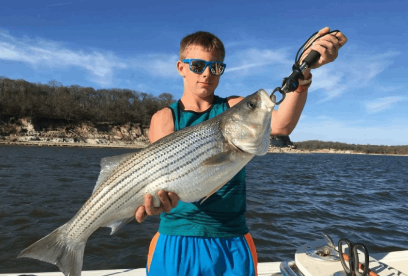 Lake Texoma Fishing License 